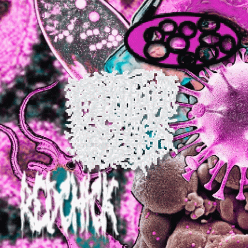 Biscuitslut : Electronic Mutations